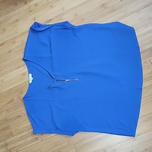 Blue blouse 3X